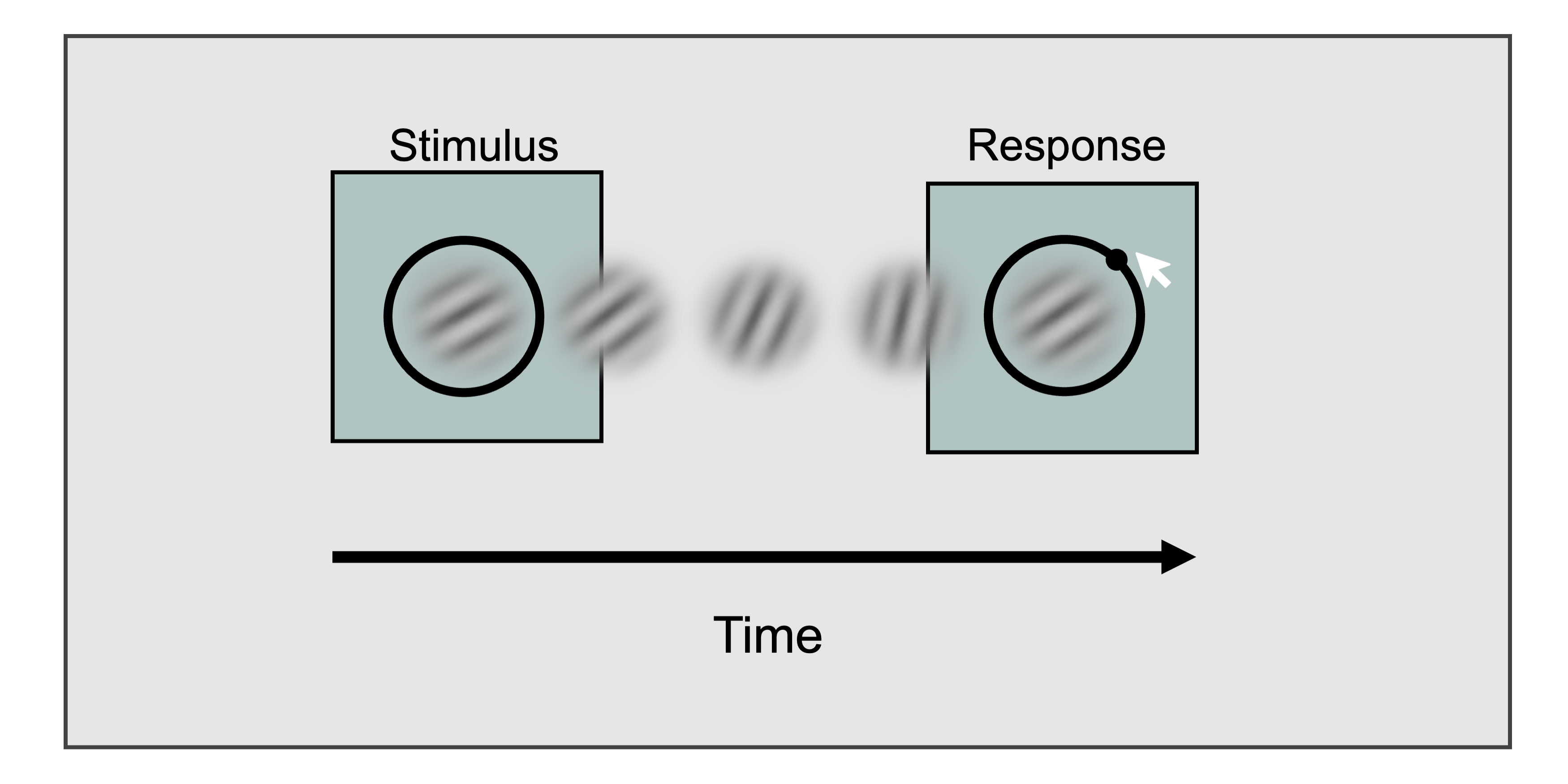 Continuous-report visual working memory task.