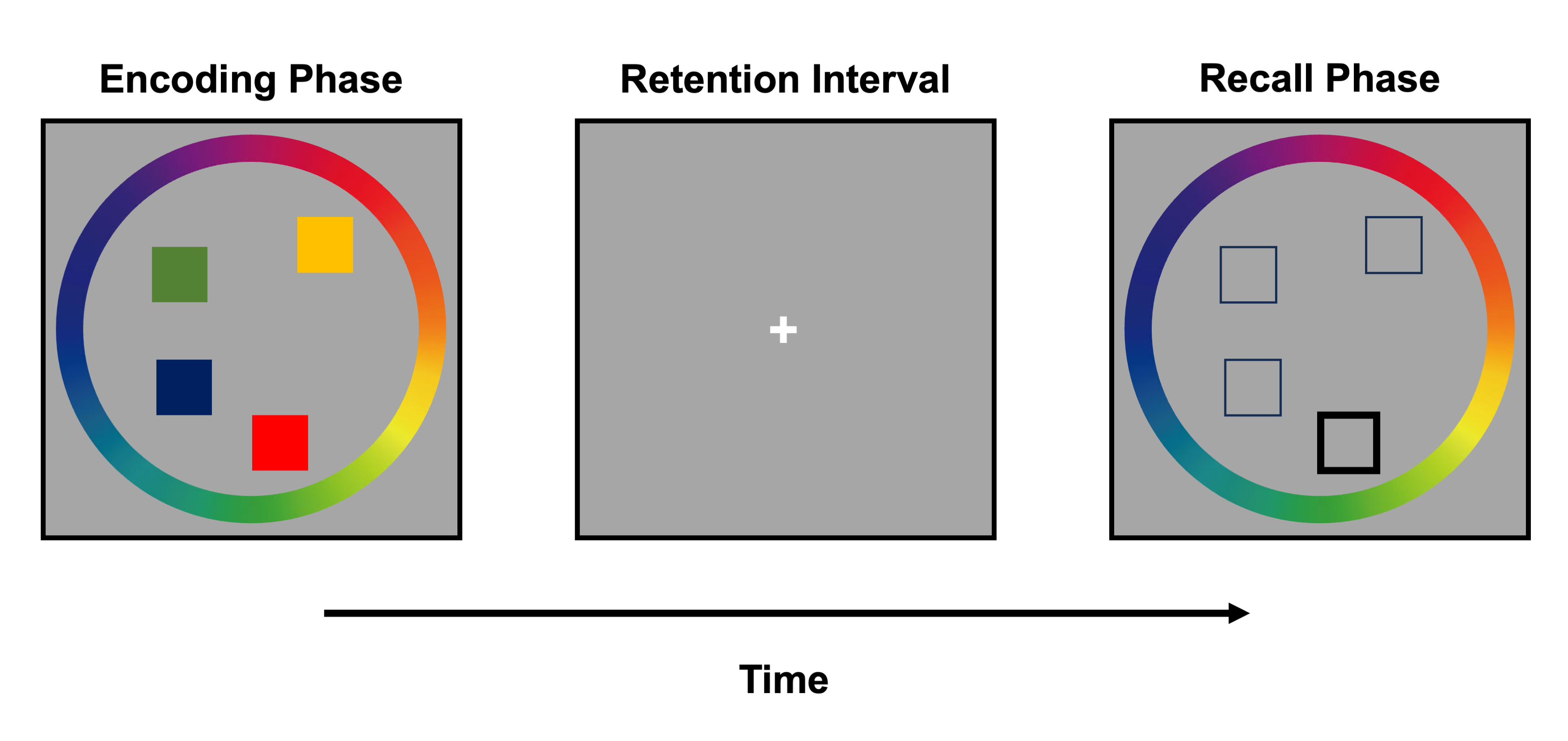Continuous report visual working memory task. alt text